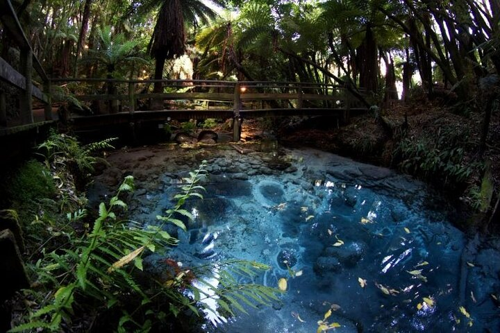Puna Tapu A Tuhoe - Sacred Spring